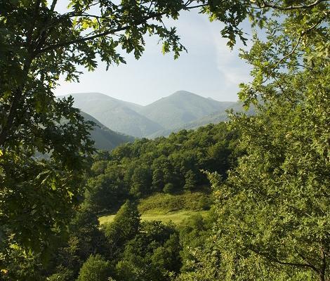 Hostal Casa Lucas Los Tojos Εξωτερικό φωτογραφία
